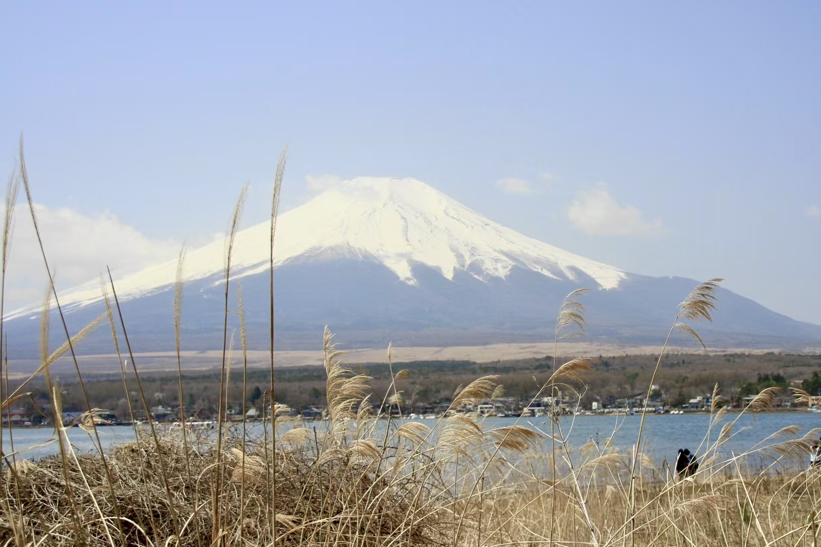 ๐ฏ๐ต Mount Fuji, Japan โ caught on a clear morning from the hiking trail.