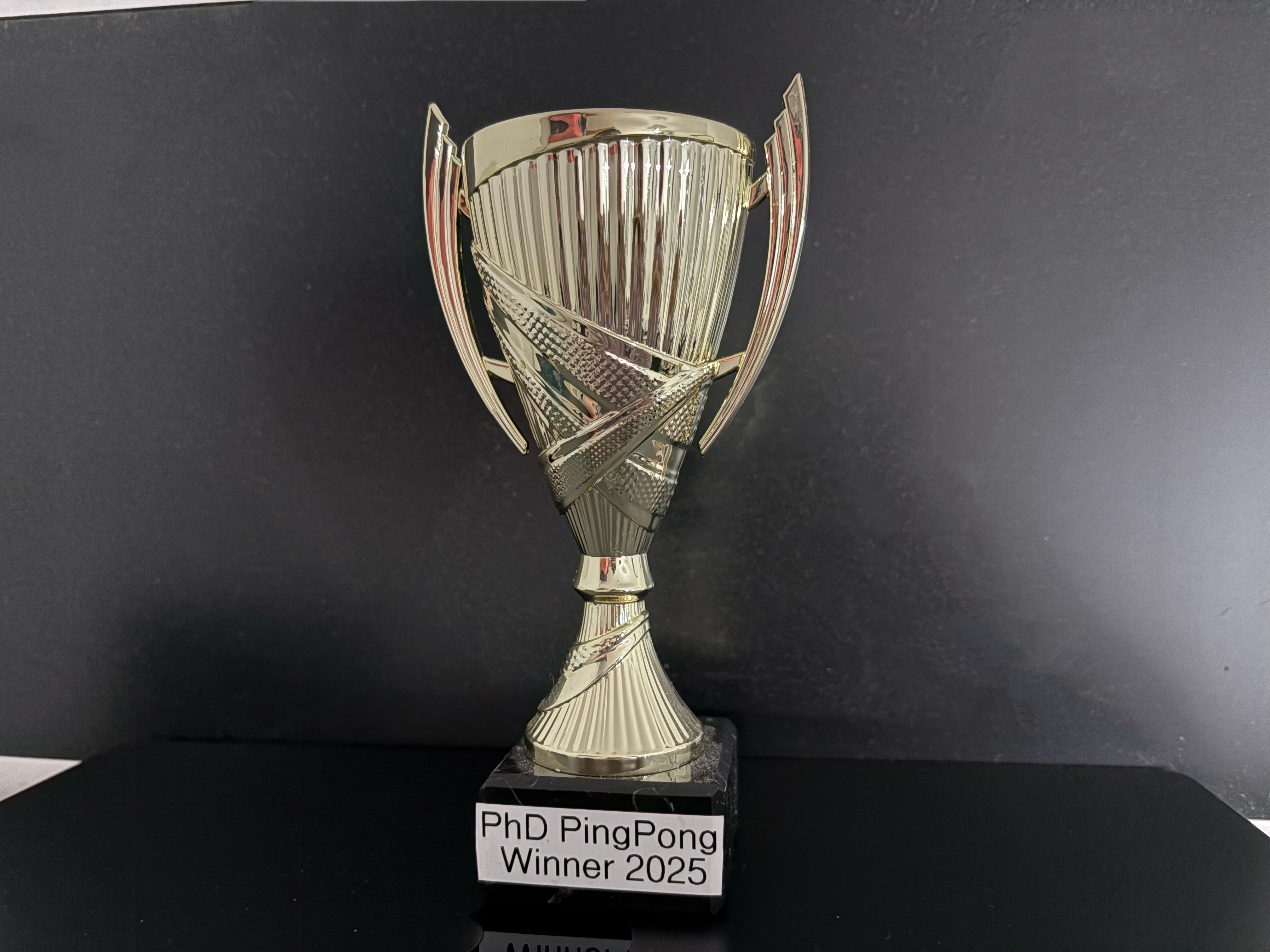 ๐ 1st place at the Bosch internal PhD table tennis competition.